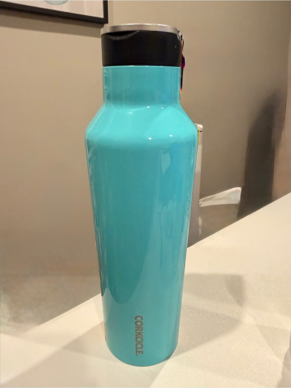 NWT Corkcicle Teal Stainless Water Bottle - Insulated 20 oz.